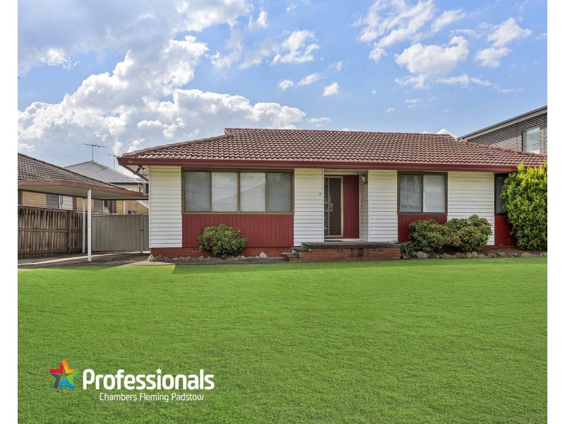 3 Grieve Crescent, Milperra NSW 2214