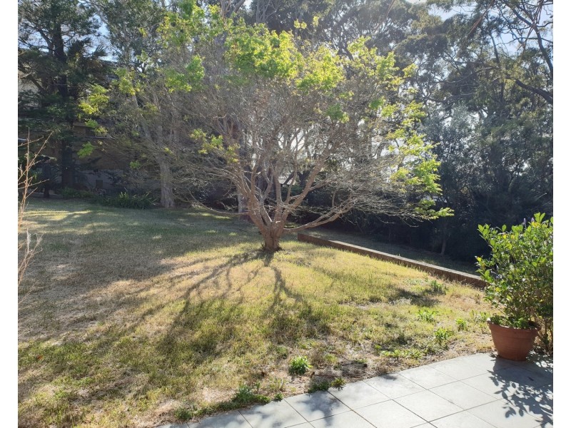 11 Dudley Avenue, Caringbah South NSW 2229