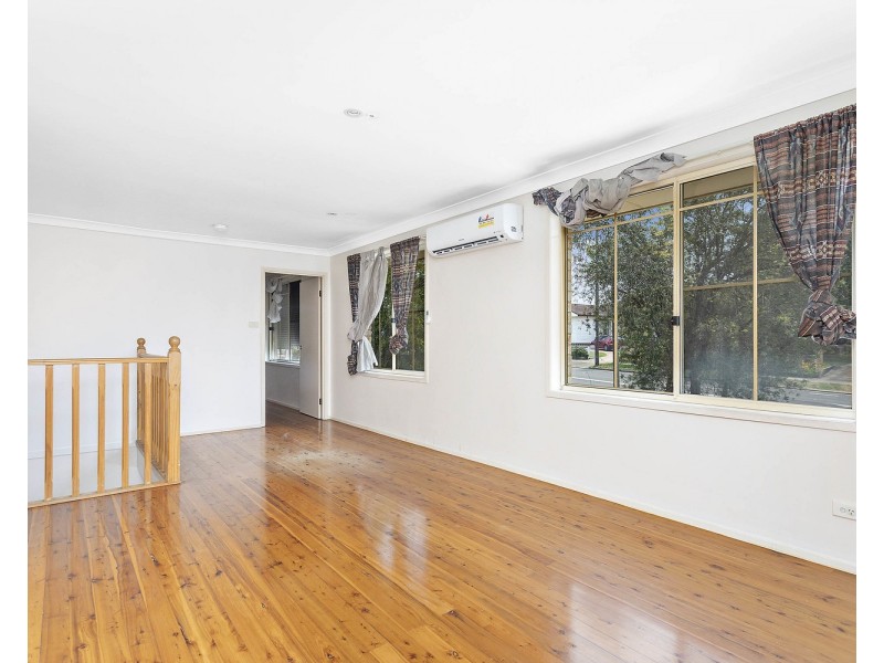 53 Alma Road, Padstow NSW 2211