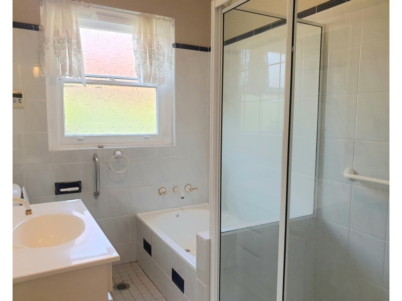 53 Albert Street, Revesby NSW 2212