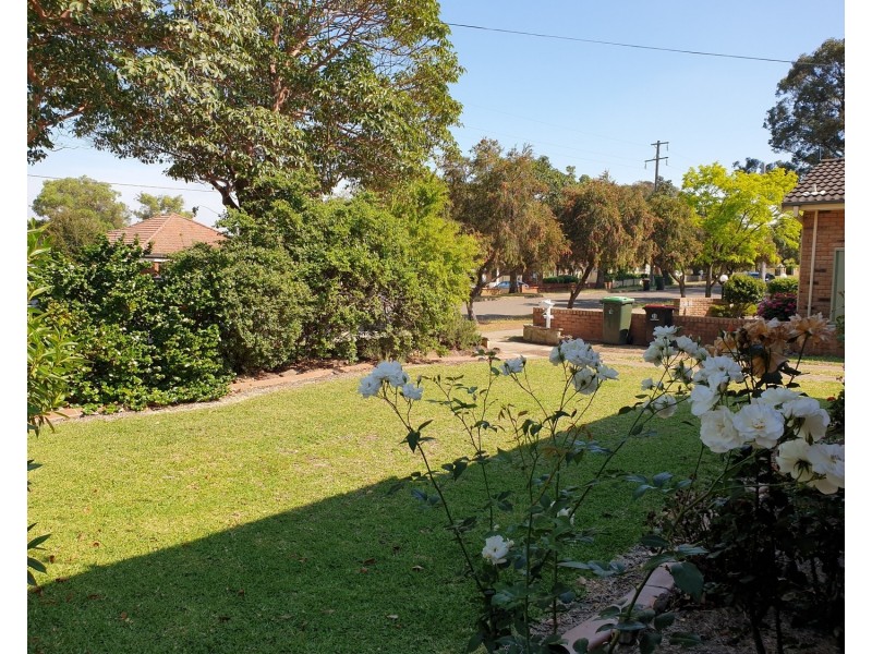53 Albert Street, Revesby NSW 2212