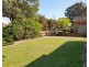 53 Albert Street, Revesby NSW 2212