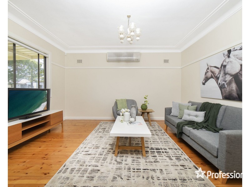 17  Cullens Road, Punchbowl NSW 2196