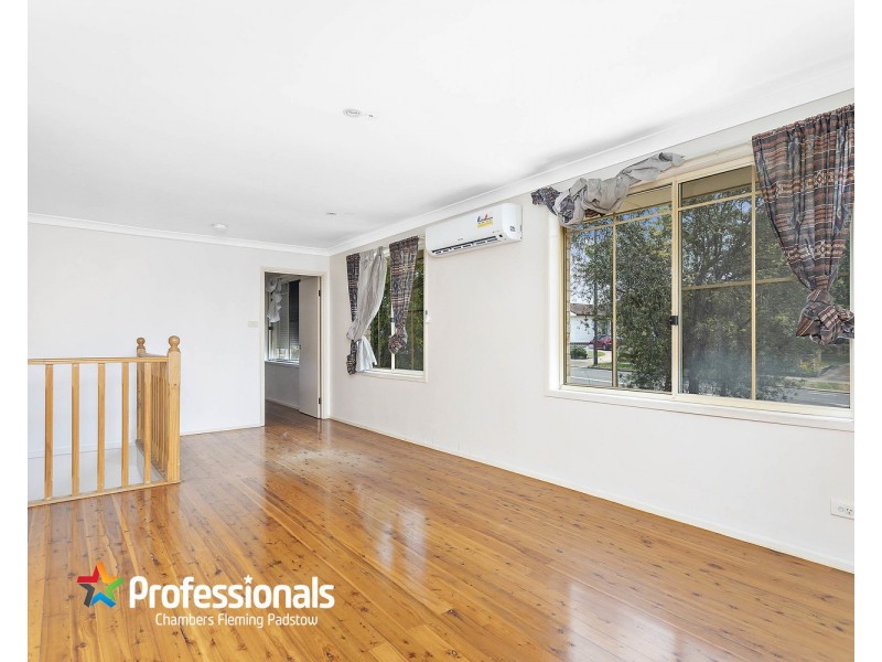 53 Alma Road, Padstow NSW 2211