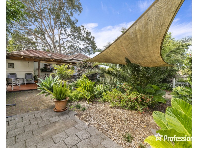 147 Gibson Avenue, Padstow NSW 2211