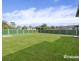 41 Horsley Road, Revesby NSW 2212