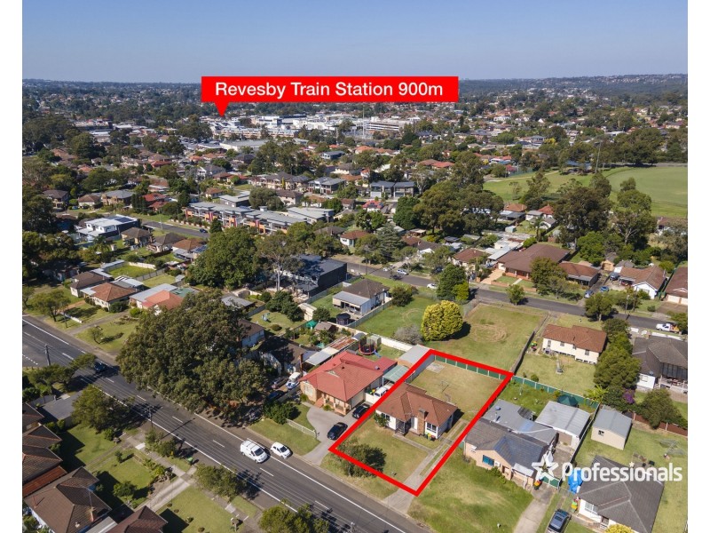 41 Horsley Road, Revesby NSW 2212