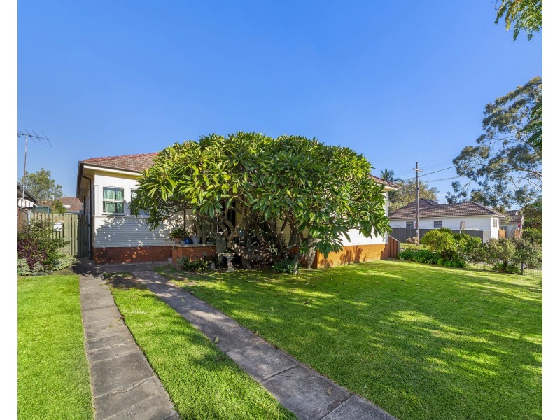 19 Banks Street, Padstow NSW 2211