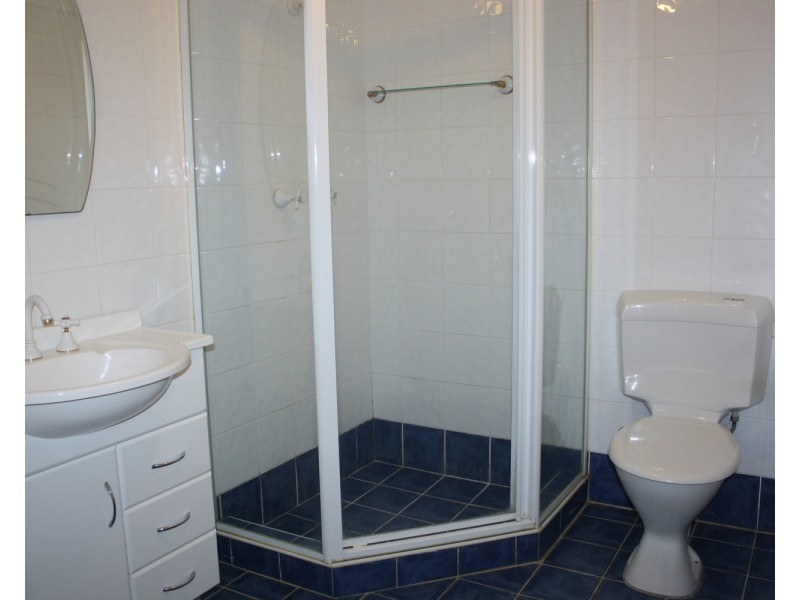 Flat/12 Woodburn Avenue, Panania NSW 2213