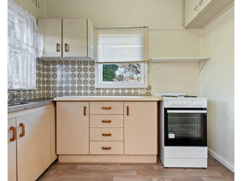 19 Newey Avenue, Padstow NSW 2211