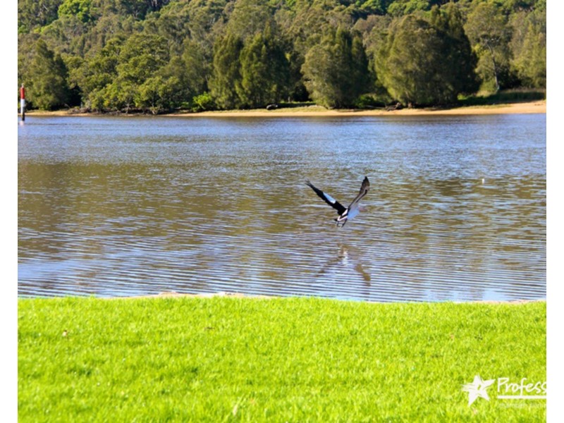 72 Vega Street, Revesby NSW 2212