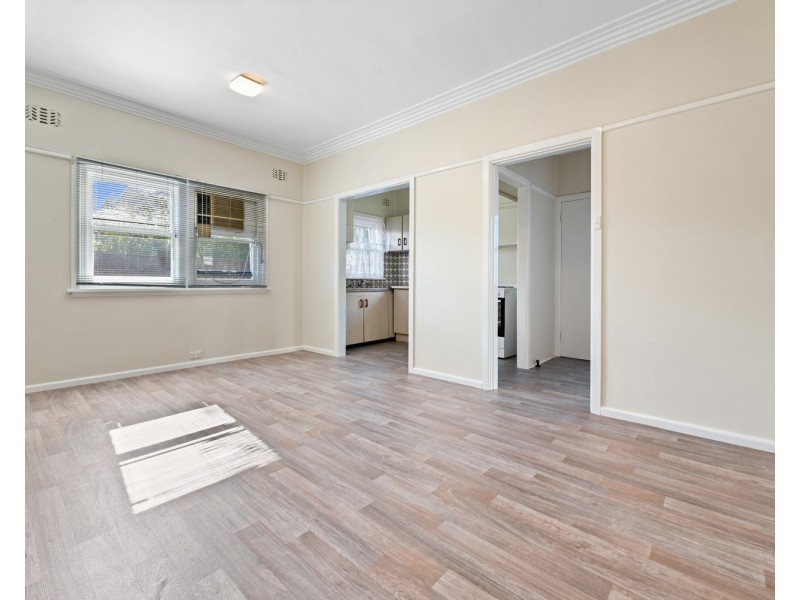 19 Newey Avenue, Padstow NSW 2211