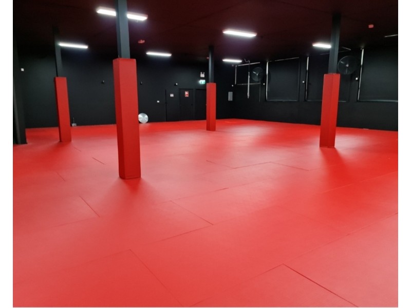 2 Selems Parade, Revesby NSW 2212