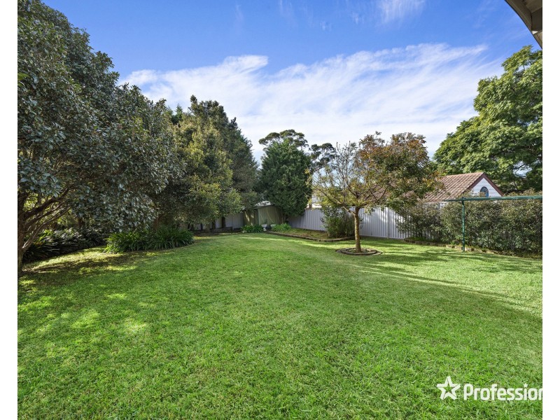 6 Amberdale Avenue, Picnic Point NSW 2213