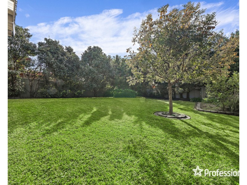 6 Amberdale Avenue, Picnic Point NSW 2213