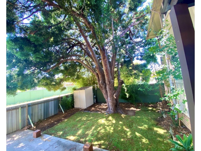 172 Gibson Avenue, Padstow NSW 2211