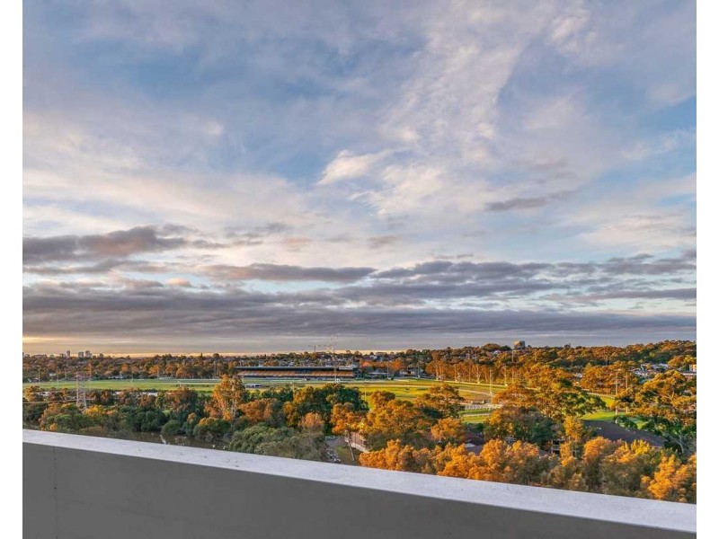 C1004/15 Charles Street, Canterbury NSW 2193