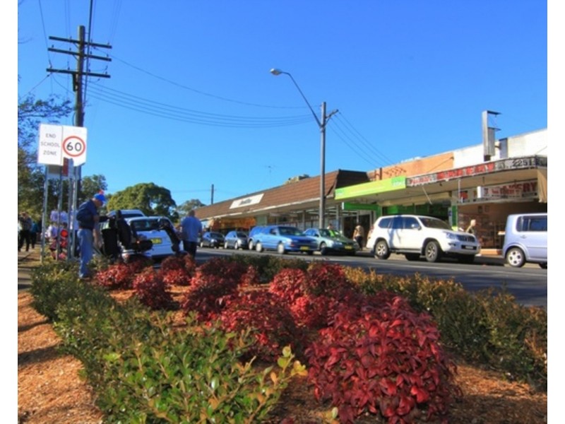 20 Gorman Avenue, Panania NSW 2213