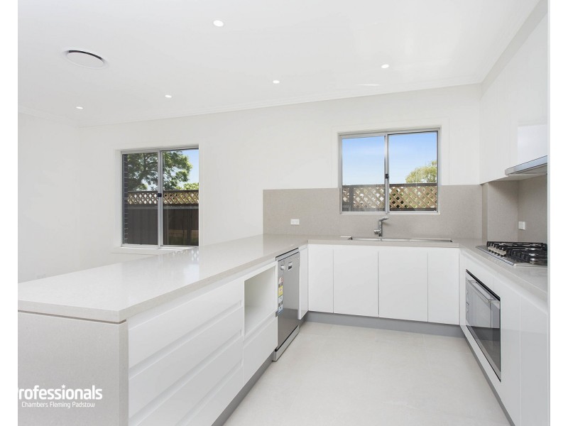 107A Vega Street, Revesby NSW 2212