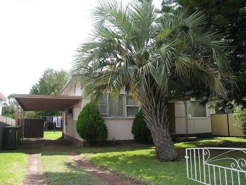 8 Nella Street, Padstow NSW 2211