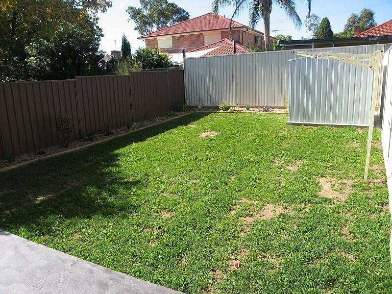 17 Carew Street, Padstow NSW 2211