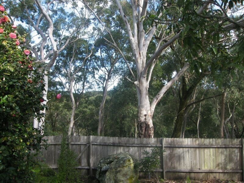 43 Fewtrell Avenue, Revesby Heights NSW 2212