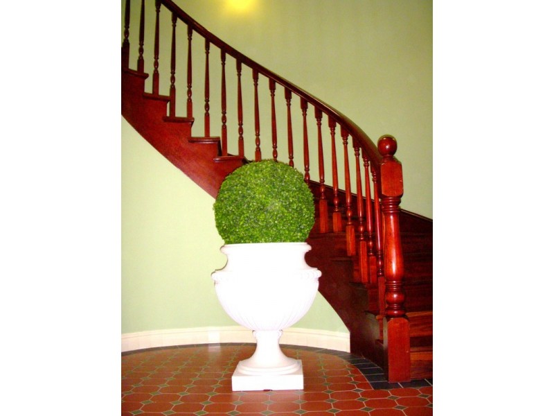 10 Ryan Road, Padstow NSW 2211