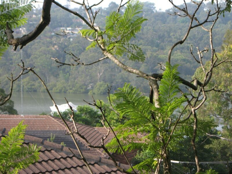 4a Valley Road, Padstow Heights NSW 2211