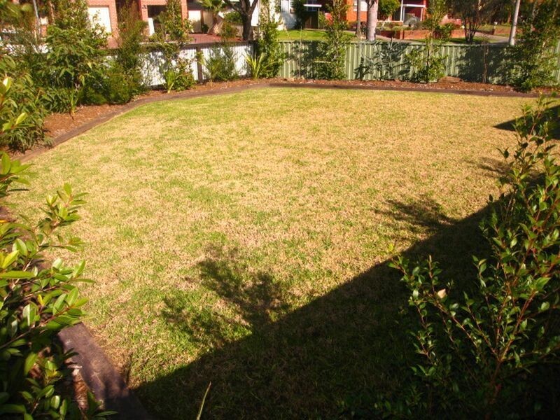 46 Tracey Street, Revesby NSW 2212