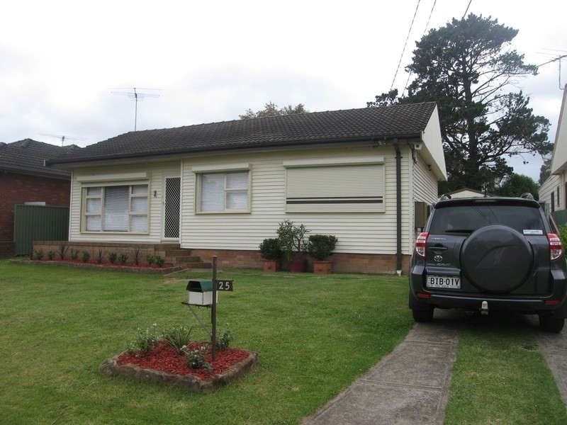 25 Brighton Avenue, Panania NSW 2213