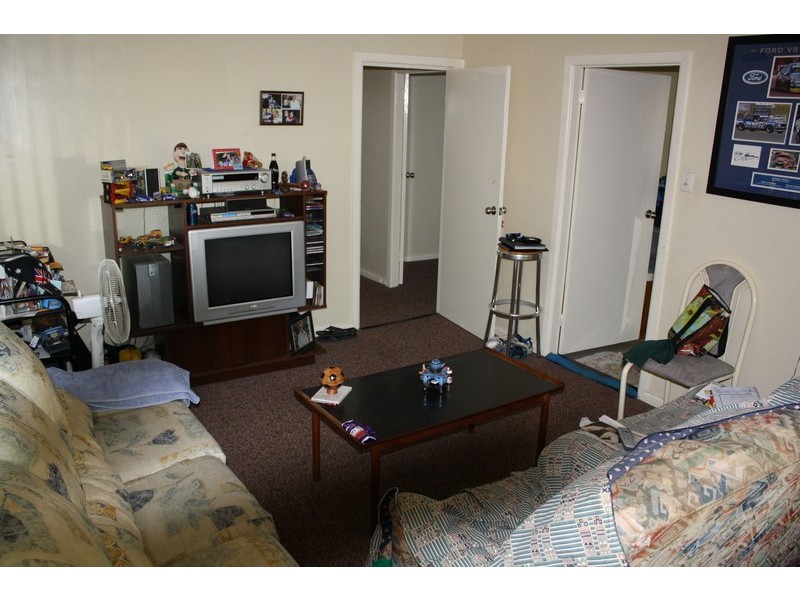 52 Hinemoa Street, Panania NSW 2213