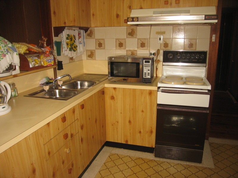 49 Vega Street, Revesby NSW 2212