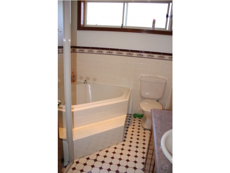 20 Springfield Street, Padstow NSW 2211