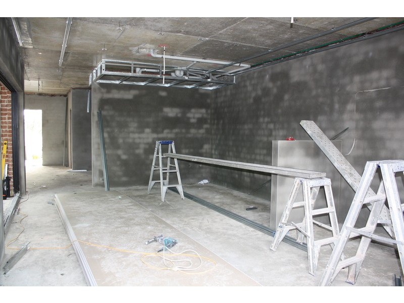 61 Tracy Street, Revesby NSW 2212