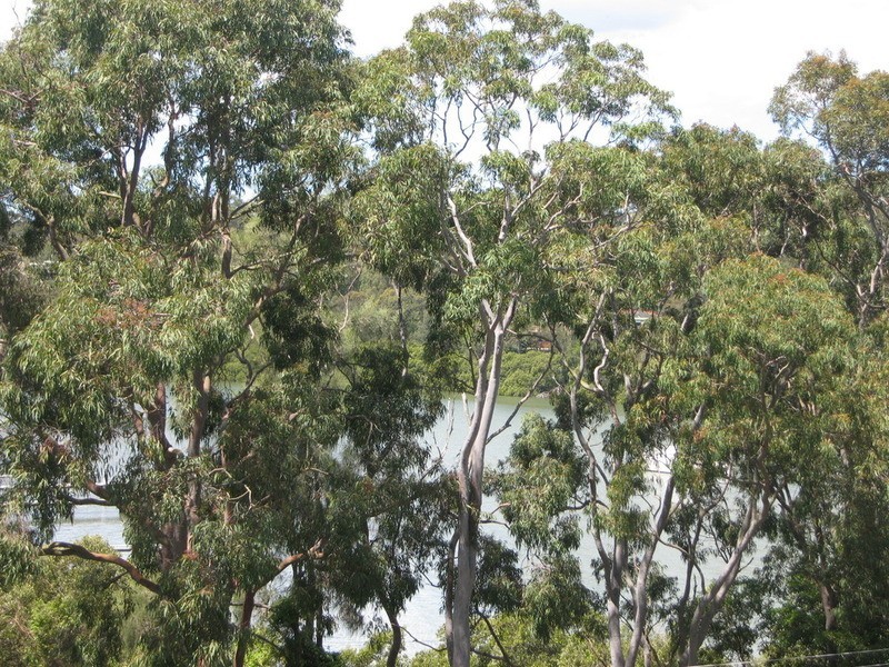 12 Valley Road, Padstow NSW 2211