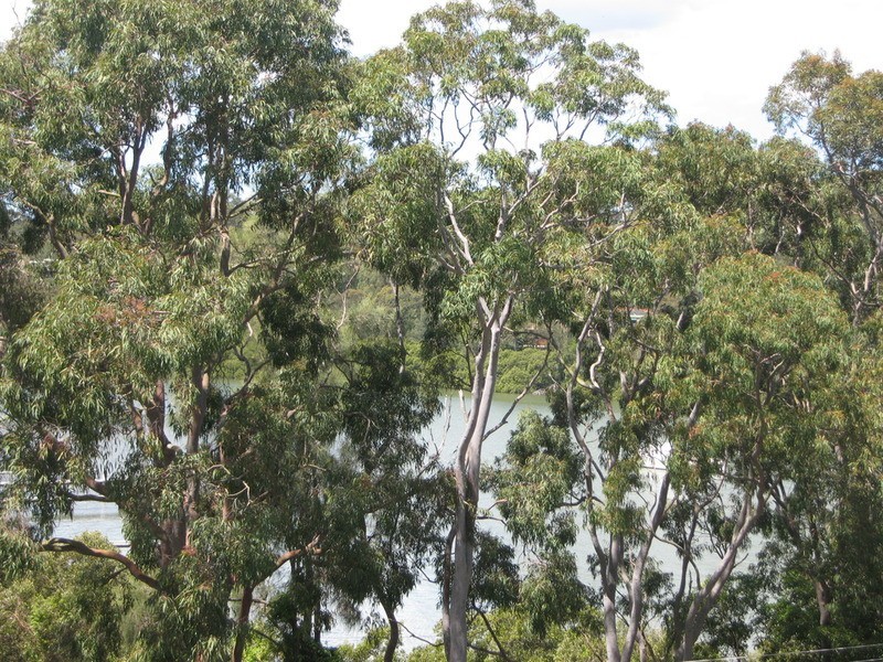 12A Valley Road, Padstow NSW 2211