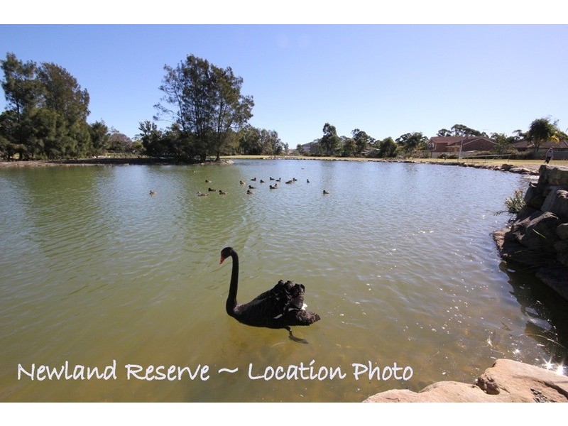 9 Whittle Avenue, Milperra NSW 2214