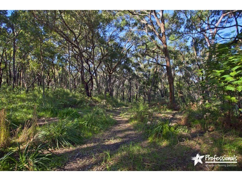 50 Villiers Road, Padstow Heights NSW 2211