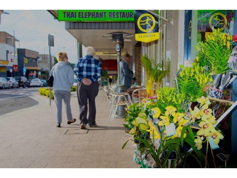 102a Lang Street, Padstow NSW 2211