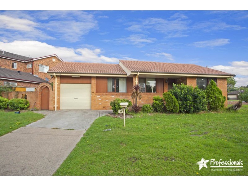 19 Sinai Avenue, Milperra NSW 2214