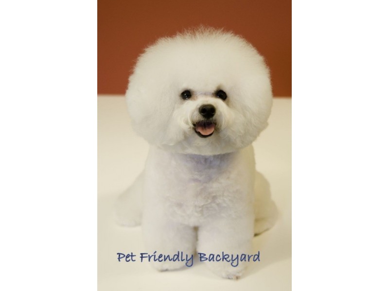 1/81 Vega Street, Revesby NSW 2212