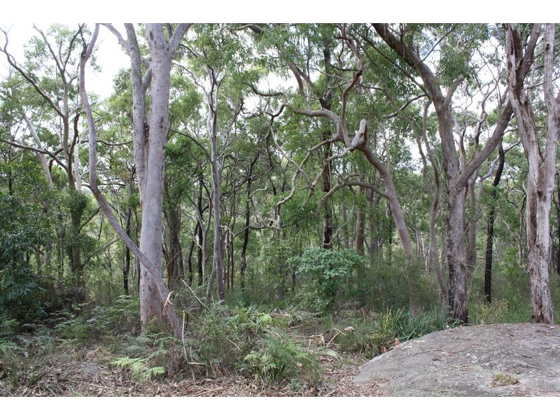 121 Sandakan Road, Revesby Heights NSW 2212