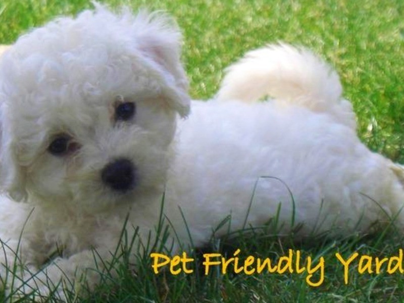 14 Uranus Road, Padstow NSW 2211