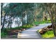 39 Valmay Avenue, Picnic Point NSW 2213