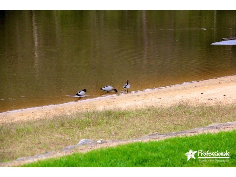 34 Doris Street, Picnic Point NSW 2213