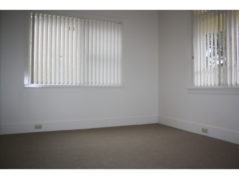 3 Milton North Street, Ashfield NSW 2131