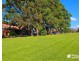 86 Kennedy Street, Picnic Point NSW 2213