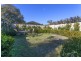 61 Lang Street, Padstow NSW 2211