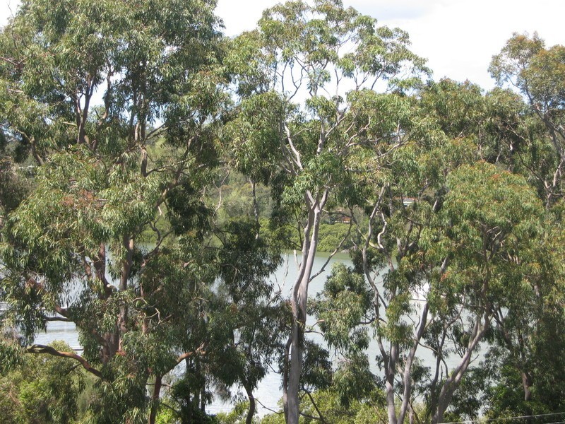 12A Valley Road, Padstow NSW 2211