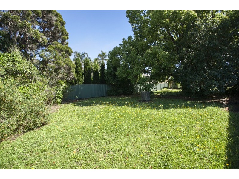 62 Milperra Road, Revesby NSW 2212